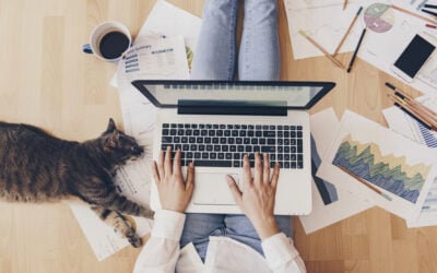 Working from Home During a Time of Uncertainty